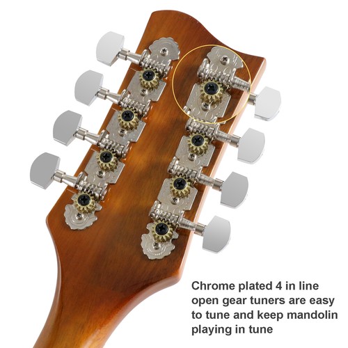 A Style 8 String Electric-Acoustic Mandolin Instrument with Pickup Sapele Top F - Picture 4 of 14