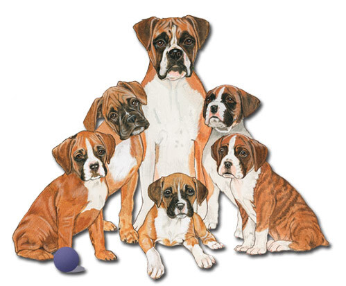 Boxer Magnet Wooden - Picture 1 of 1