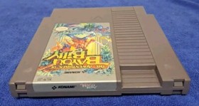 Adventures of Bayou Billy (Nintendo NES, 1989)