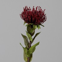 Protea 72Cm Bordeaux Dp Kunstblumen KüNstliche Blumen