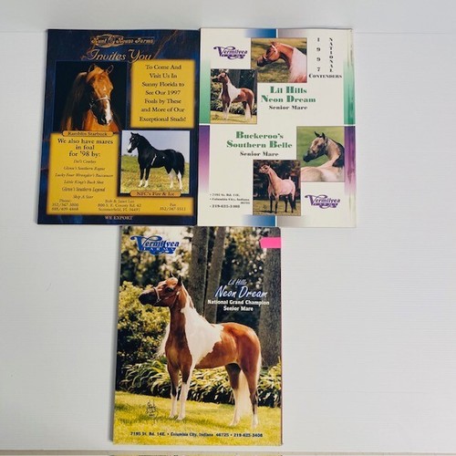 Miniature Horse World Magazine Bundle American Horse Assoc Equine Vol13 4-6 1997 - Picture 2 of 19