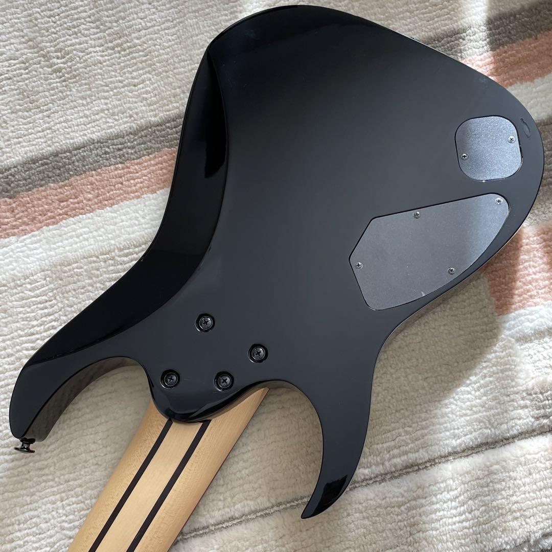 8弦　Ibanez RG Prestige RG2228A s-l400.jpg