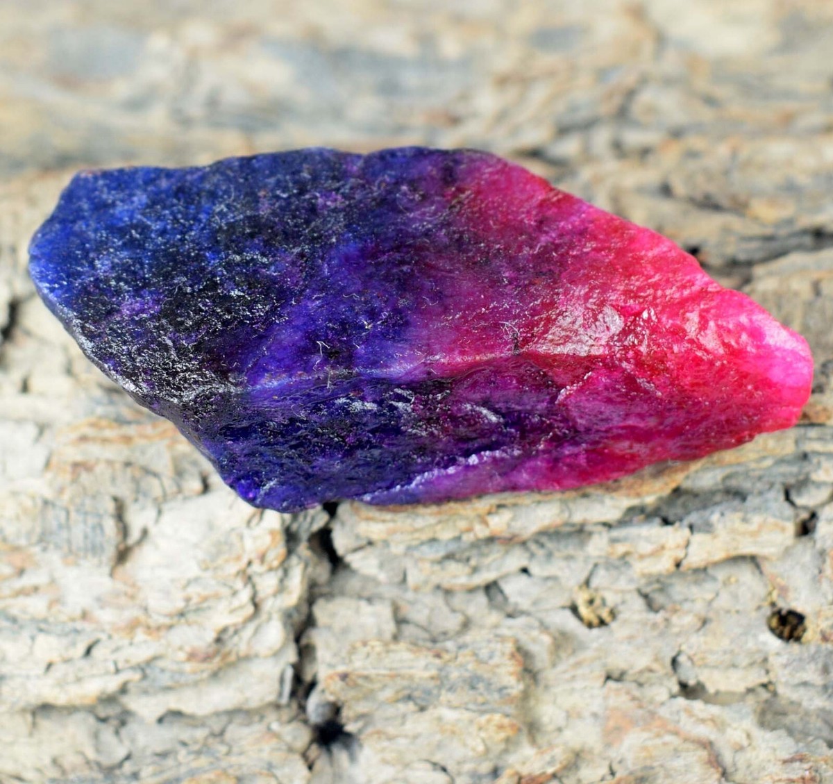 307.80 Ct Natural Bi-Color Sapphire 72 x 33 mm Gemstone Rough