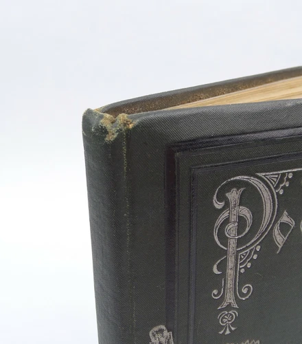 Antikes Jugendstil Album Poesiealbum Freundschaftsalbum  Aachen 1894-1909  - Bild 2 von 12