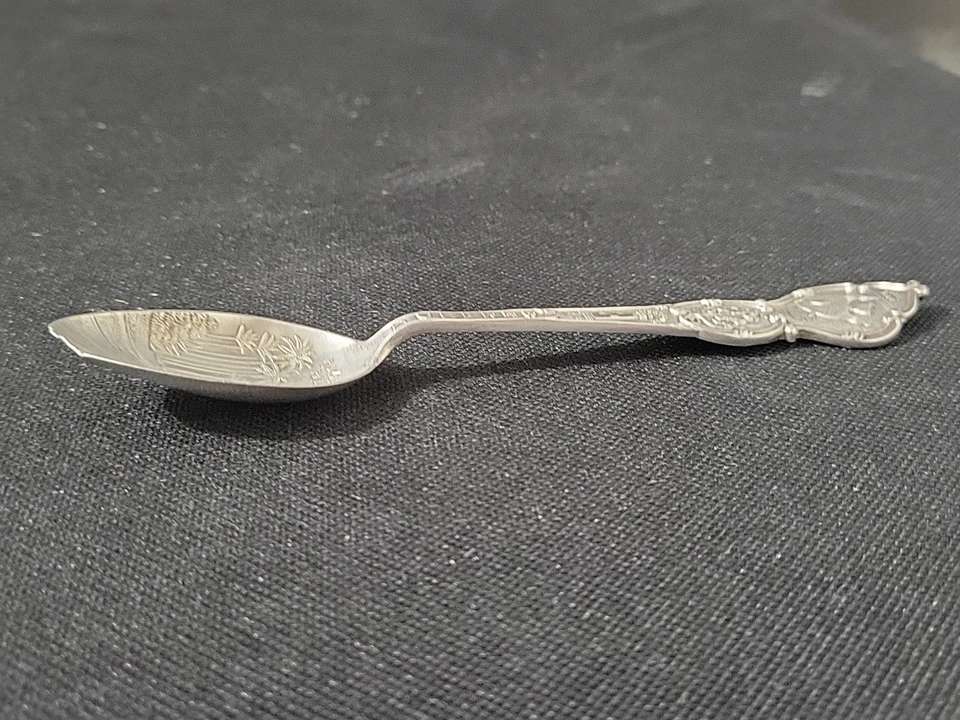 Antique Sterling Silver Souvenir Spoon BERMUDA Royal Palms, Angel Fish LILY C3 — 第 3/4 张图片