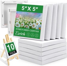 Mini Stretched Canvas 10 Pack 5x5inch, 2/5''Profile Art Primed Canvases