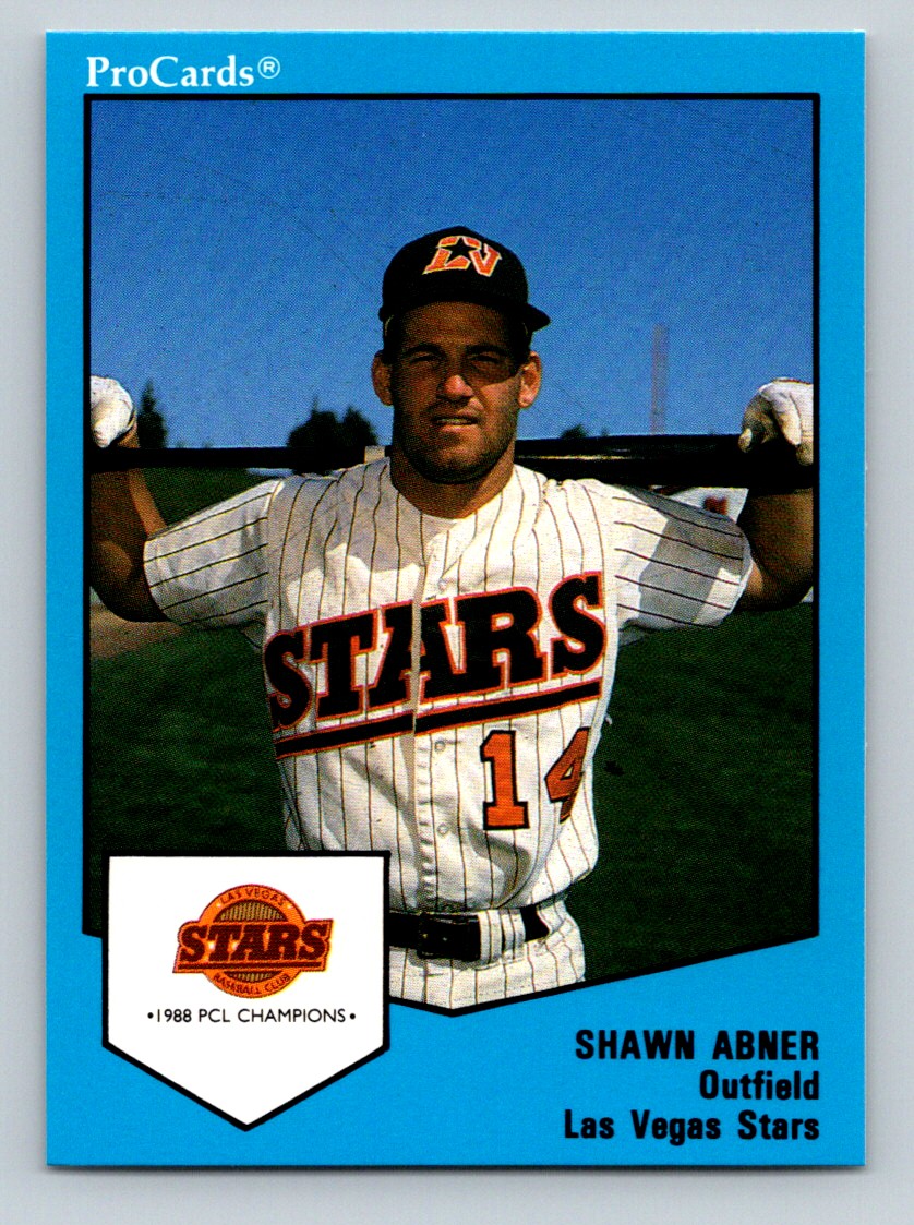 1989 ProCards Minor League Team Sets #21 Shawn Abner