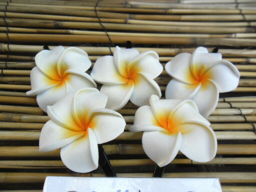 Bali Frangipani Hair Clips 5cm set x 5 or 7cm set x 5 eBay