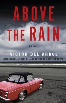 Victor del Arbol Lisa Dillman Above the Rain (Taschenbuch)