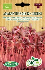 Bio Graines Amaranthe Rouge Micro-pousse Temps de Germination Gemüse Blumen
