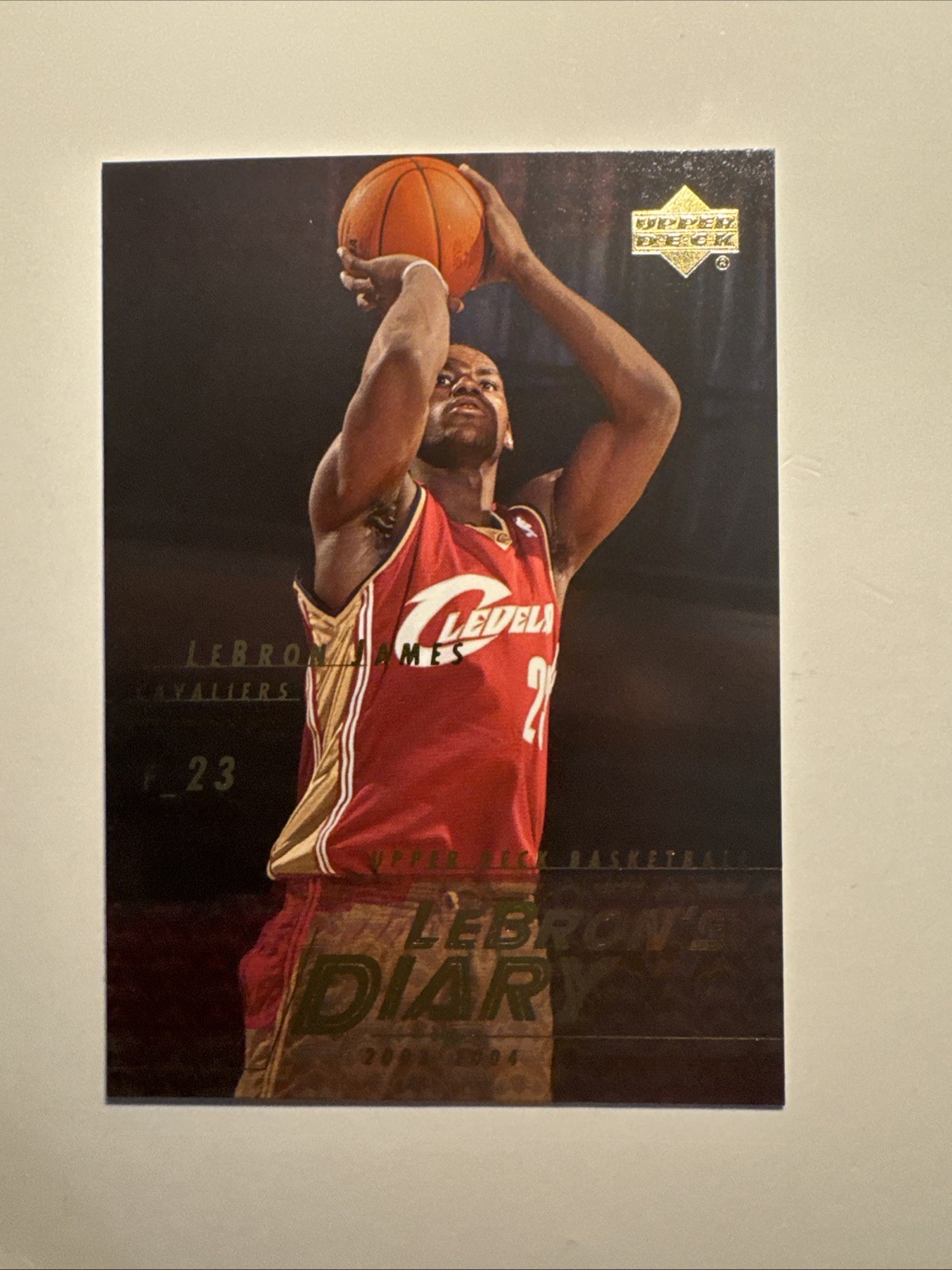 2003-04 Upper Deck Lebron's Diary LeBron James #LJ12 Rookie RC