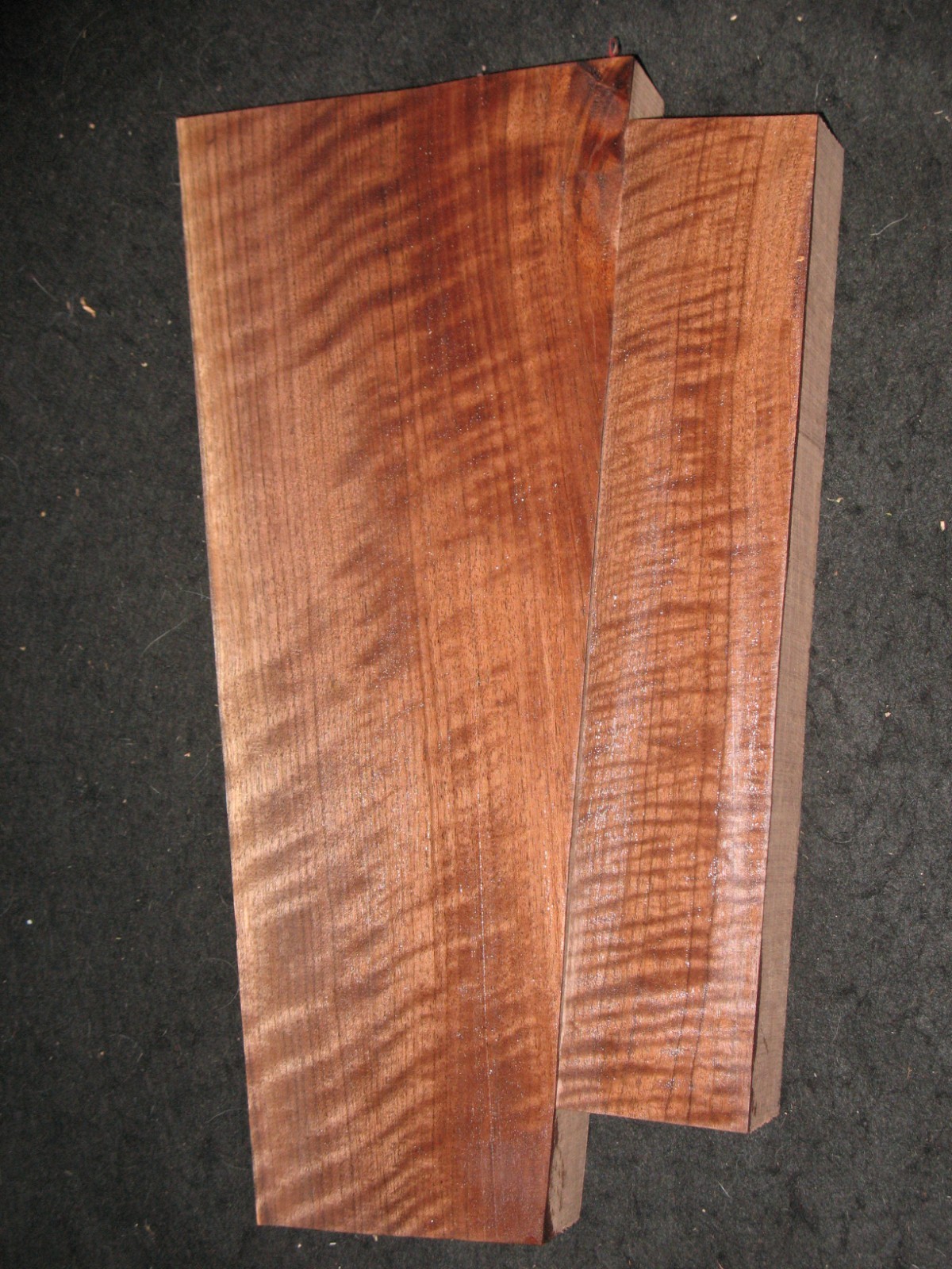 Curly Claro Walnut Gunstock Gun Stock Blank 2 Piece AAAAA