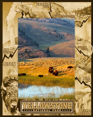 Yellowstone National Park Laser Engraved Wood Picture Frame Portrait (4 x 6)