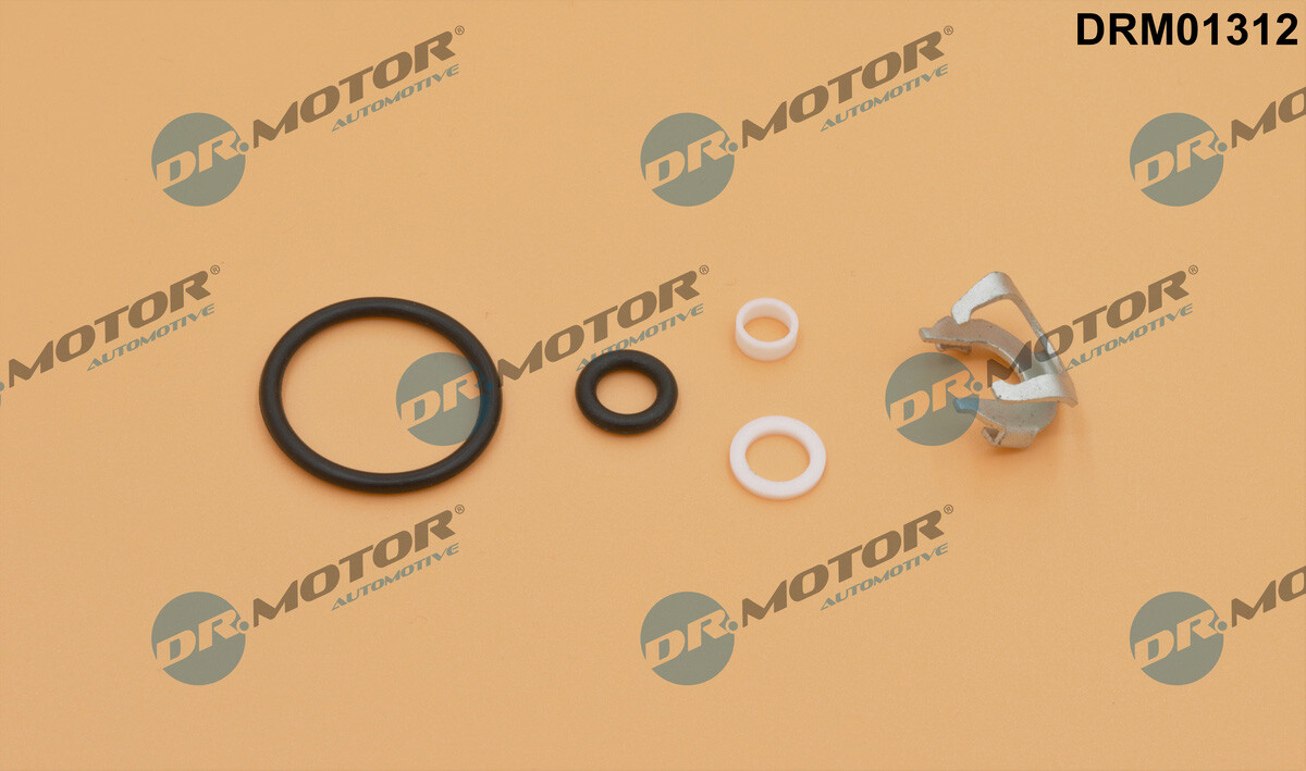DRM01312 Dr.Motor Automotive Seal Kit, injector nozzle for ARTEGA,AUDI,PORSCHE,S