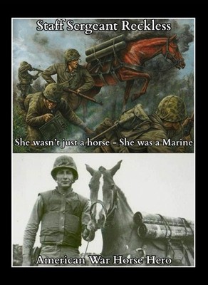 Staff Sergeant Reckless - She Wasn t Just A Horse, She Was A Marine Hero - Korea