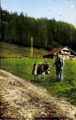 Ak Franche-Comte, La Descente du lait depuis les fermes - 4590243
