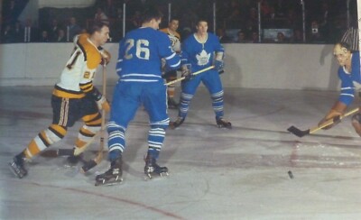 ACTION HOCKEY PHOTO PRINT TIM HORTON DON SIMMONS  ALLAN STANLEYTORONTO LEAFS 
