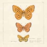 Ppd Servietten Papillons Antiques 33 X 33 Cm
