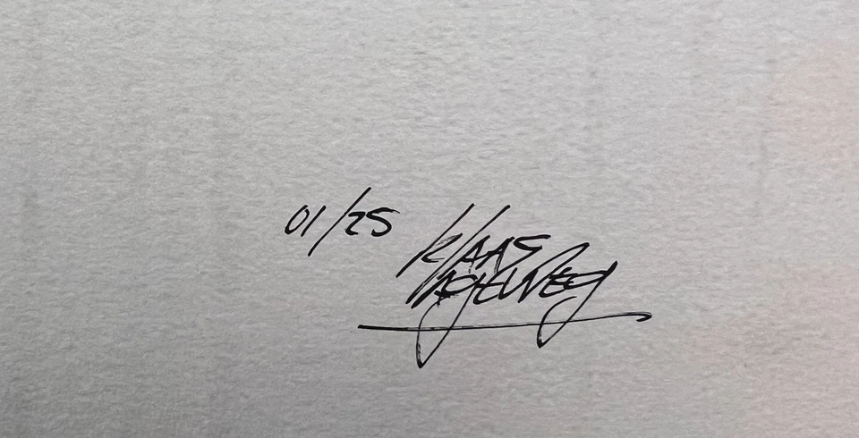 Klaas Lageweg „Aktion Speaks Louder Than Words“  handsigniert, nummeriert - Bild 4 von 4