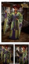 Disney Hocus Pocus Winifred Sanderson Halloween Costume