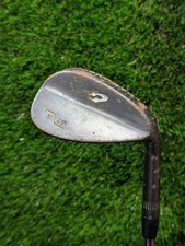 Progen 49° Loft Gap Wedge | Rusty | True Temper Dynamic Gold Shaft | 36" | RH