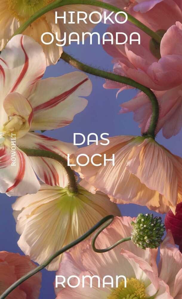 Hiroko Oyamada ~ Das Loch - Bild 3