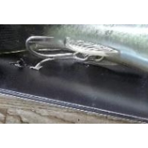 deps New SLIDESWIMMER 250 Largemouth Bass Big Bait Swimbait 250mm 6.2oz Japan - Image 3