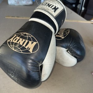 Engage Boxing Gloves | eBay