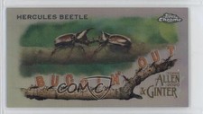 2020 Topps Allen & Ginter Chrome Mini Buggin' Out! Hercules Beetle #MBOC-4 0j8f