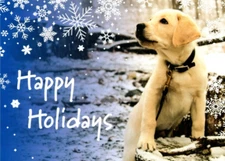 YELLOW LABRADOR PUPPY DOG SNOWFLAKES Christmas Greeting Card New MG36