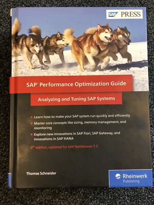 Sap Performance Optimization Guide