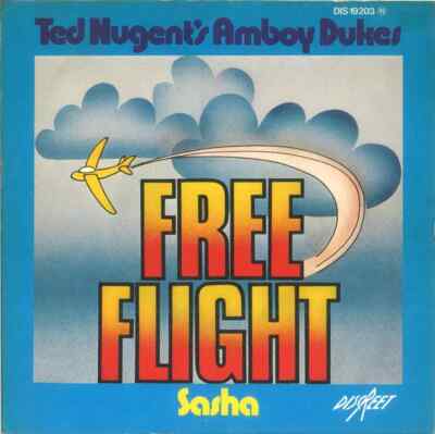The Amboy Dukes Free Flight / Sasha Vinyl Single 7inch NEAR MINT Warner
