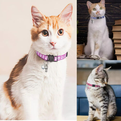 12x Safety Release Kitten Collar Quick Release Reflective Bell Hi Vis Adjustable - Picture 7 of 9