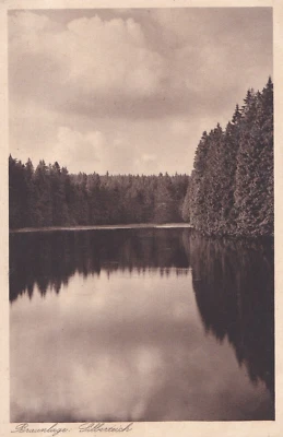 1900 AK Deutsches-Reich Goslar  Braunlage Silberteich Panorama See Hans Rudolphi - Bild 1 von 2