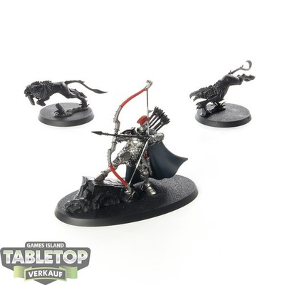 Stormcast Eternals - Knight-Judicator with Gryph-hounds - teilweise bemalt