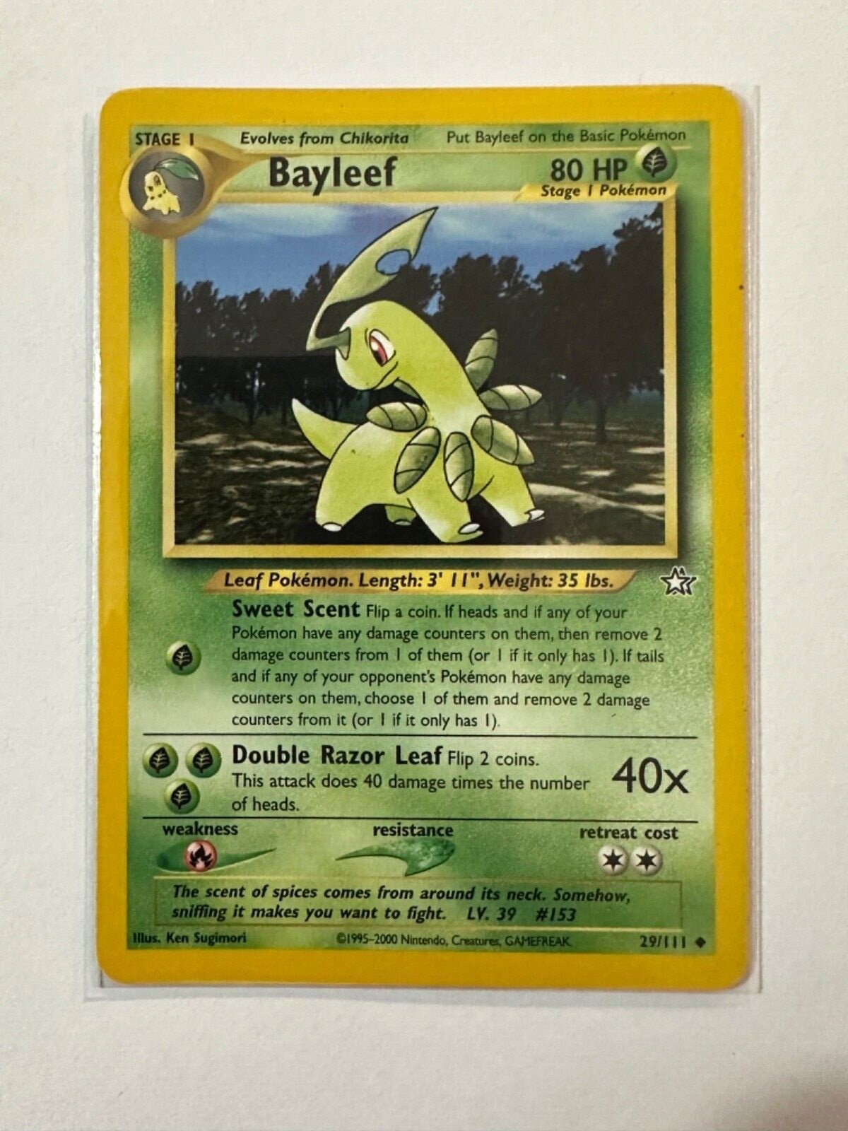 Pokémon TCG Bayleef Neo Genesis 29 Regular Unlimited Uncommon