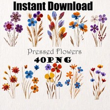 Pressed Dried Colorful Wildflowers Digital Download Clipart Printable Flowers