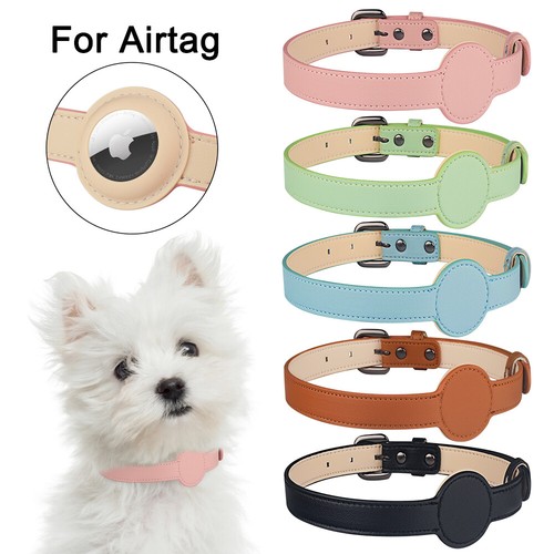 airtag small dog collar