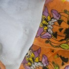 Bild 7 von 8