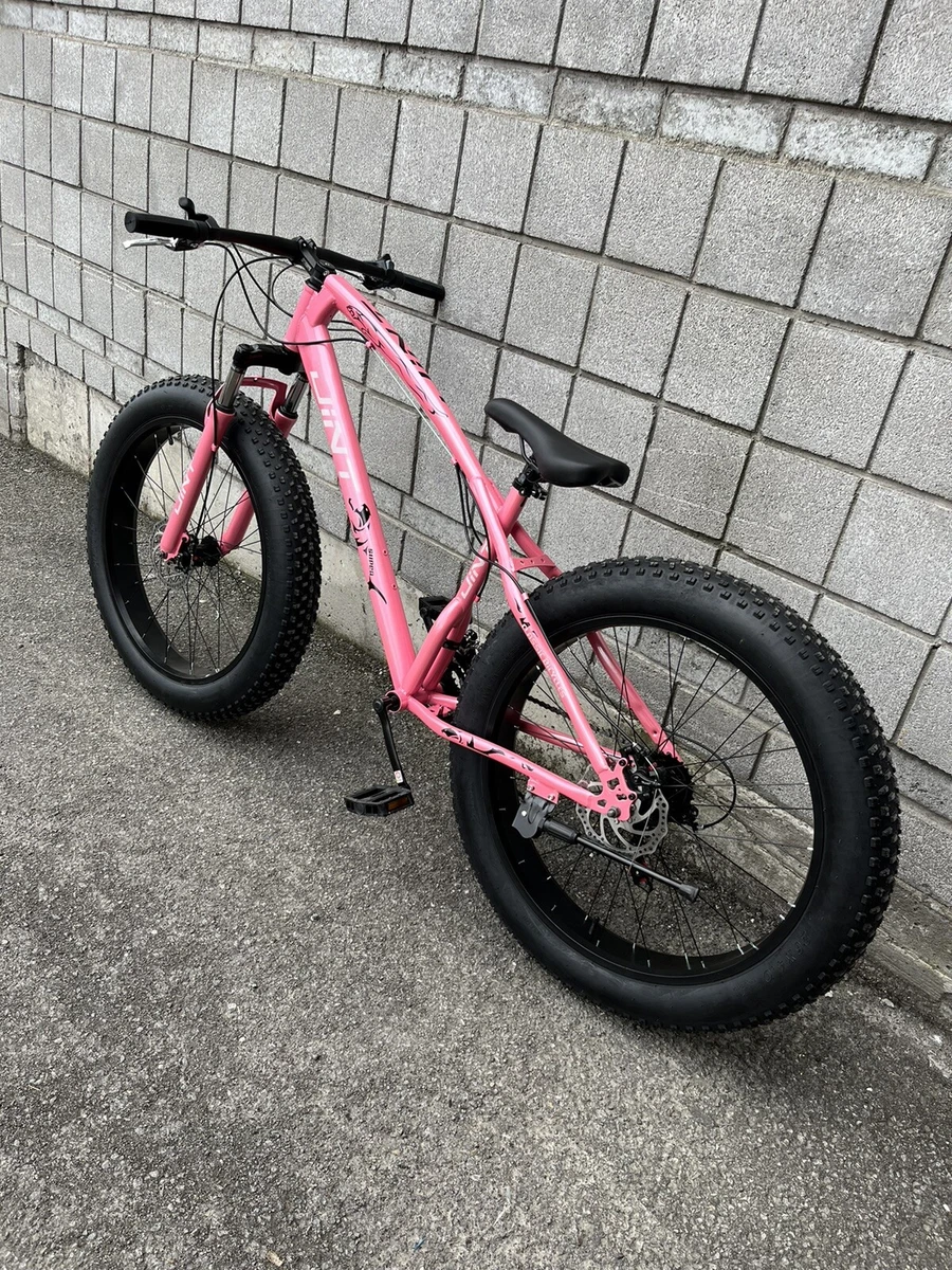 Pink fat 2025 bike