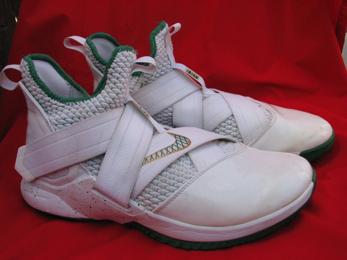 Nike Lebron Irish High Top Shoes Sz. 11.5 Men 402609 100