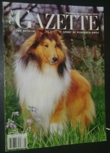 akc rough collie