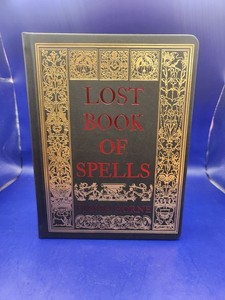 スペルブック　まとめ売り　英語 Book of Spells | eBay