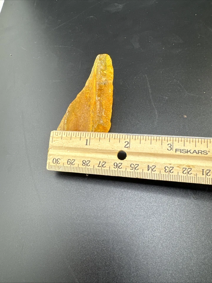 Antique Stone of Dead Sea Natural Amber Royal Egg Color 19 grams 📦 - Image 4 of 4