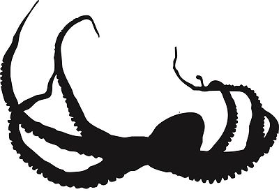 oct11 Octopus Tintenfisch  1 Aufkleber, Wandtattoo Autoaufkleber Türe  20 cm