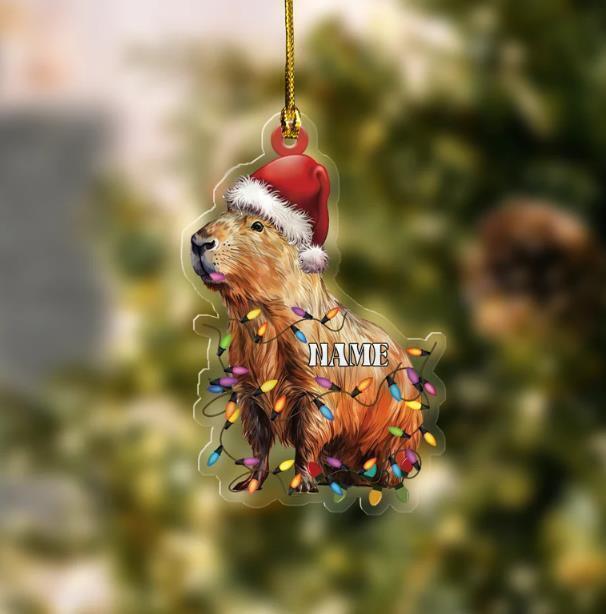 Capybara Ornament Personalized Ornament Christmas Acrylic Ornament