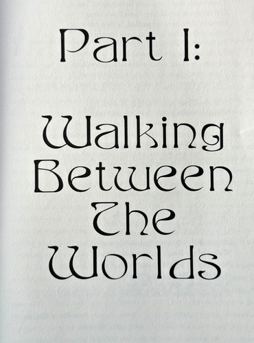 Pathwalker’s Guide to the Nine Worlds Raven Kaldera 2006 Asphodel Press - Imagen 6 de 9