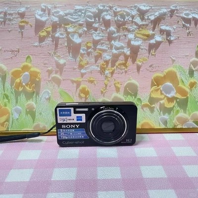 SONY Cyber-shot DSC-W570 16.1MP 5x Optical Zoom Digital Camera