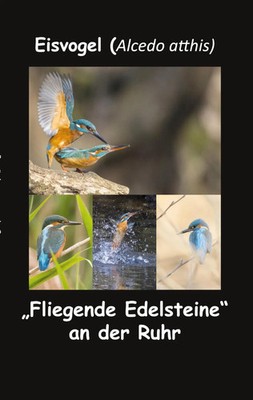 Eisvogel (Alcedo atthis) Fliegende Edelsteine an der Ruhr Fotolulu Taschenbuch