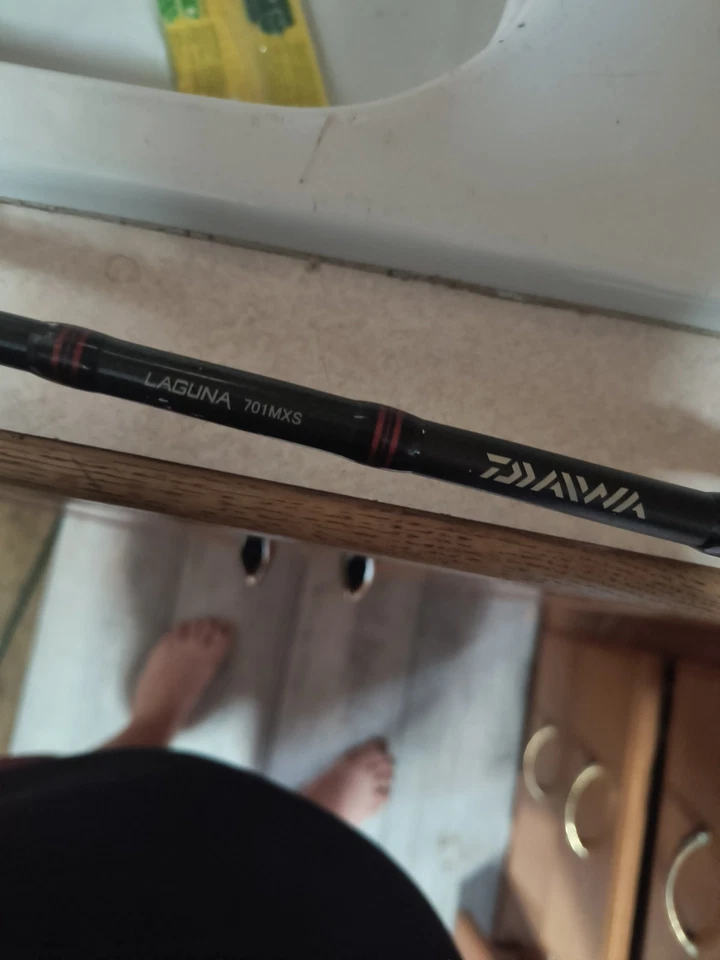 Varilla giratoria Daiwa Laguna LAG701MXS 7' Foto 2 de 3